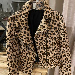 Leopard Moto Jacket White House Black Market